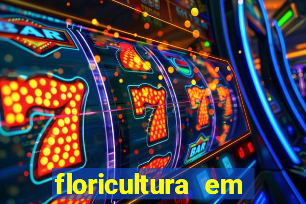floricultura em franca sp